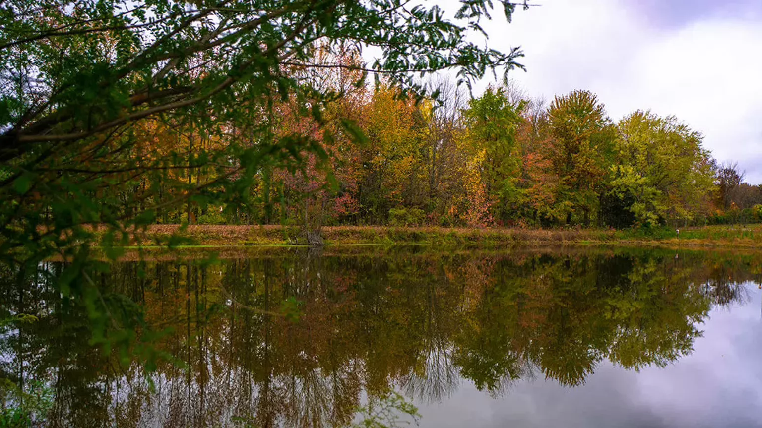 The lake on IU Southeast's campus surrounded by fall foliage.
