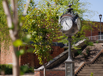 A campus clocktower viewed through trees on a sunny day.