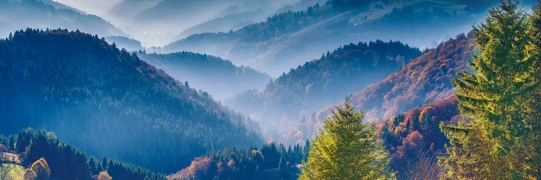 Aerial view of the Black Forest in Germany
