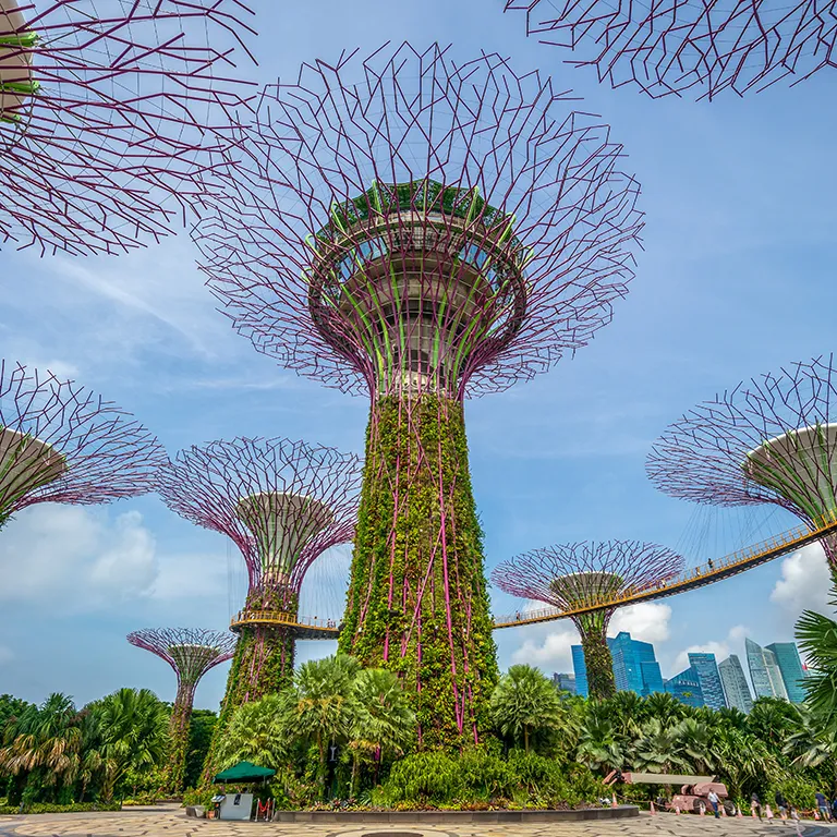 Singapore Gardens by the Bay