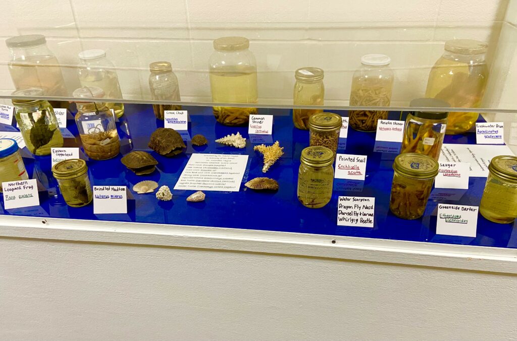 Items from the IU Southeast Zoological Collection on display in the School of Natural Sciences